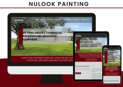 Nulook Painting Website